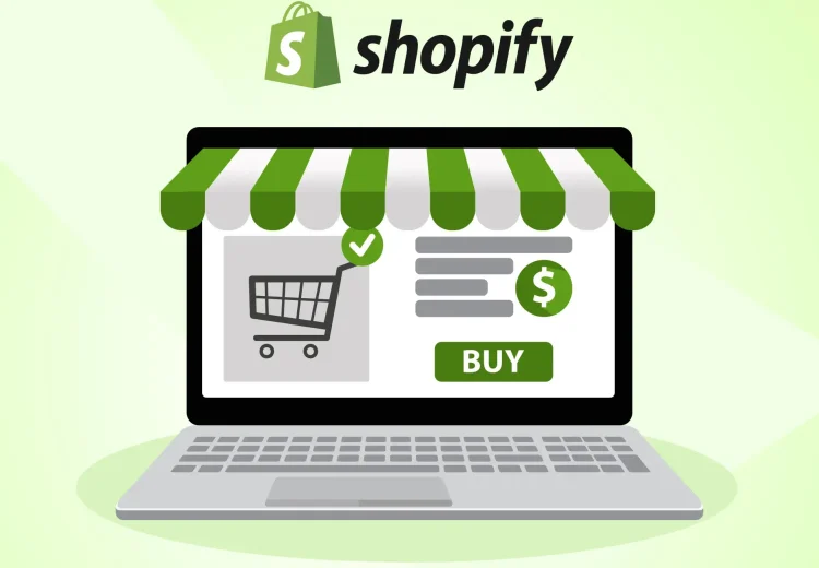 Ahmed Haridy | WordPress & Shopify Web Developer
